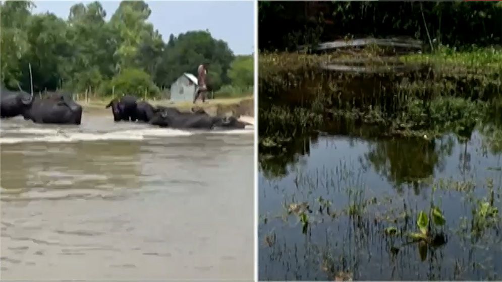 বেরিয়ে আসছে বন্যার ক্ষতচিহ্ন