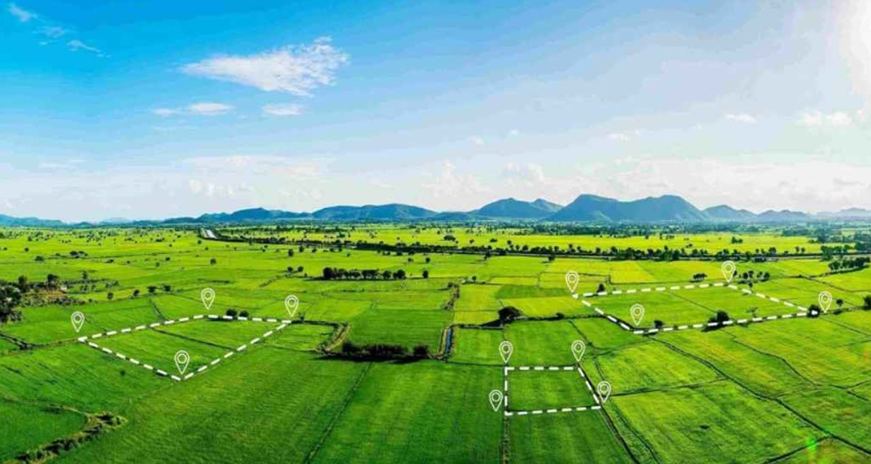 জেনে নিন নতুন আইনে জমির নামজারির নিয়ম