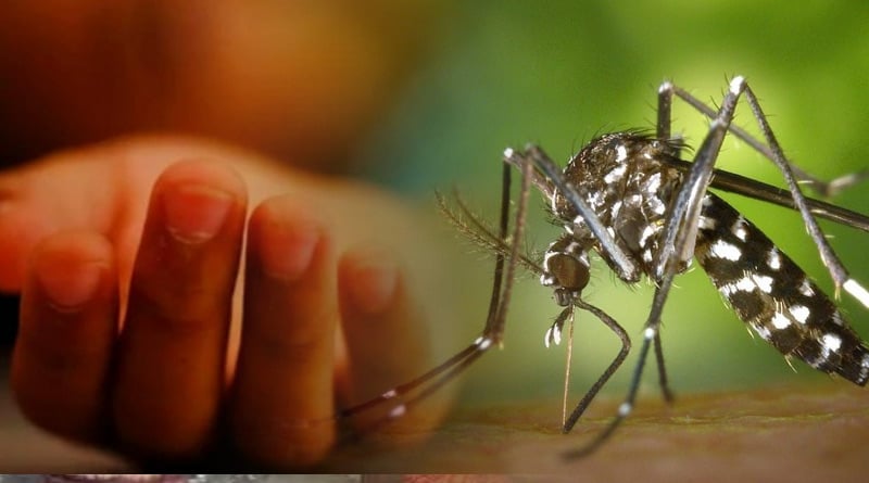 ডেঙ্গু নিয়ন্ত্রণে বিশেষজ্ঞদের পরামর্শ: সচেতন হলেই ঝুঁকি কমবে