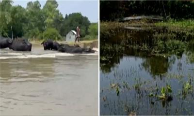 বেরিয়ে আসছে বন্যার ক্ষতচিহ্ন