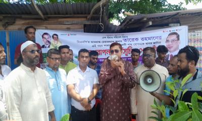 লক্ষ্মীপুরে জিয়াউর রহমান সমাজ কল্যাণ ফোরাম’র গাছ রোপণ 
