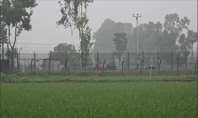 দিনাজপুর সীমান্তে ১২–১৫ জনকে পুশ-ইনের চেষ্টা, রুখে দিলো বিজিবি