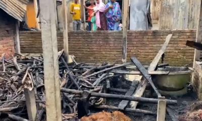 কালিয়াকৈরে আগুনে দুটি গরুসহ পুড়ল বসতবাড়ির মালামাল