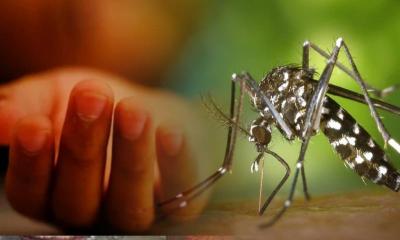 ডেঙ্গু নিয়ন্ত্রণে বিশেষজ্ঞদের পরামর্শ: সচেতন হলেই ঝুঁকি কমবে