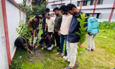 বিশ্ব পরিবেশ দিবসে লক্ষ্মীপুরে ছাত্রদলের বৃক্ষরোপণ