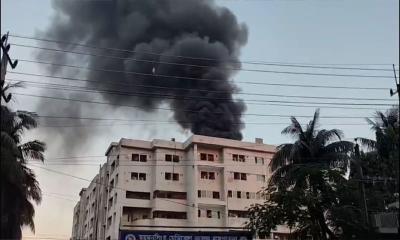 বন্ধ ছিল বেশিরভাগ সিঁড়ি, তদন্ত কমিটি গঠন