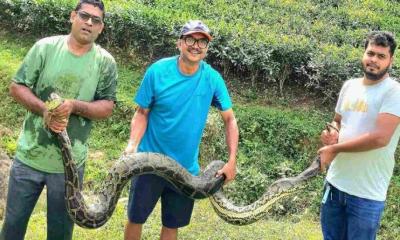 লেকে মিললো ১২ ফুট লম্বা অজগর, নিরাপদে অবমুক্ত