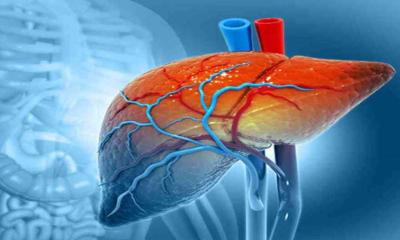 লিভারে রোগ বাসা বাধছে? লক্ষণ ধরা পড়বে হাতে-পায়ে