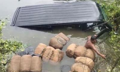 গাঁজাবাহী মাইক্রোবাস পুকুরে, উদ্ধার ৯ বস্তা গাঁজা