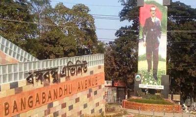বঙ্গবন্ধু এভিনিউয়ের নাম পাল্টে শহীদ আবরার ফাহাদ এভিনিউ