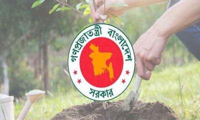 ৬ মাসে ২ কোটির বেশি গাছ রোপণ করেছে সরকার