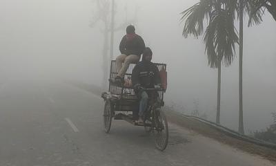 পঞ্চগড়ে তীব্র শীত ও ঘন কুয়াশা, বিপর্যস্ত জনজীবন