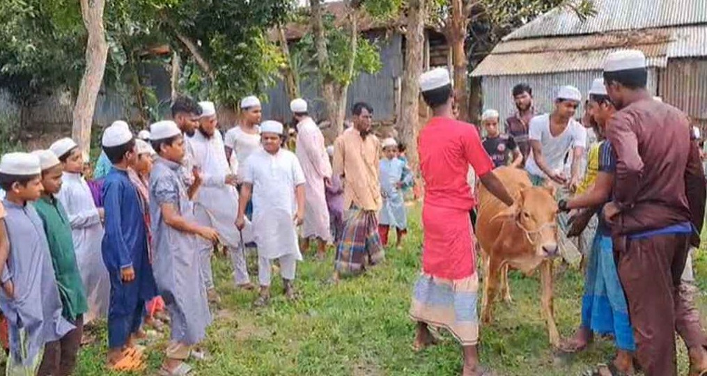 আ.লীগ নিষিদ্ধে গরু জবাই করে খাওয়ালেন রফিকুল ইসলাম মাদানী