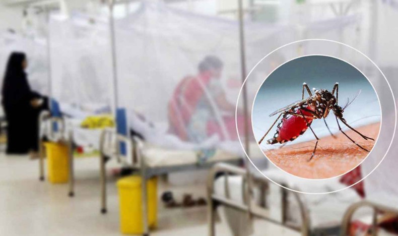 ডেঙ্গুতে আরো ৩৭৫ জন হাসপাতালে