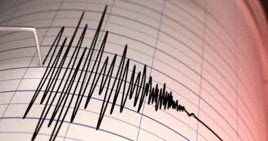 ভূমিকম্পের সময় কী করবেন, কী করবেন না