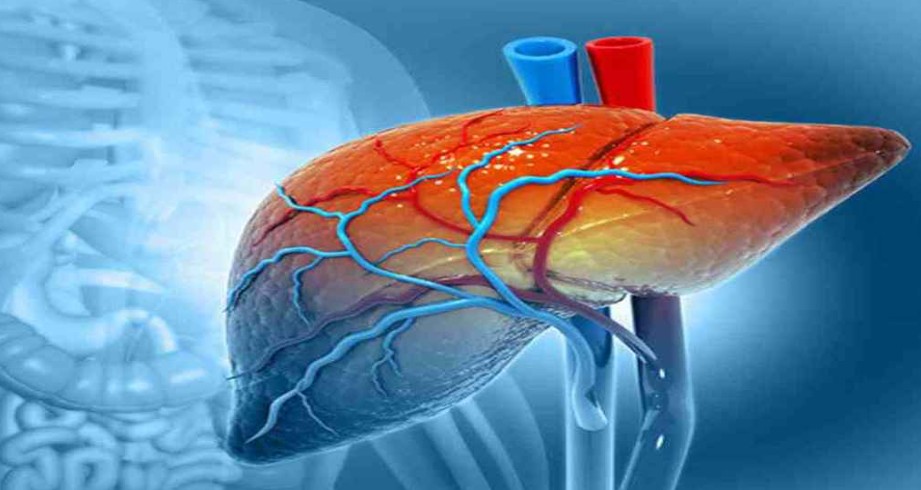 লিভারে রোগ বাসা বাধছে? লক্ষণ ধরা পড়বে হাতে-পায়ে