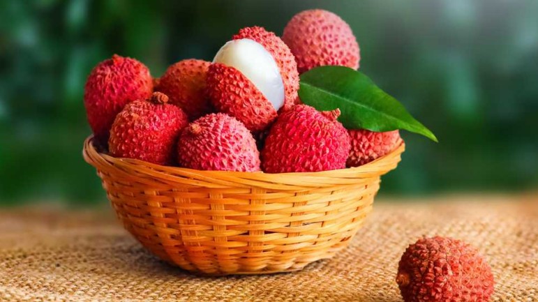 কত বছরের শিশু দিনে কয়টি লিচু খেতে পারবে?